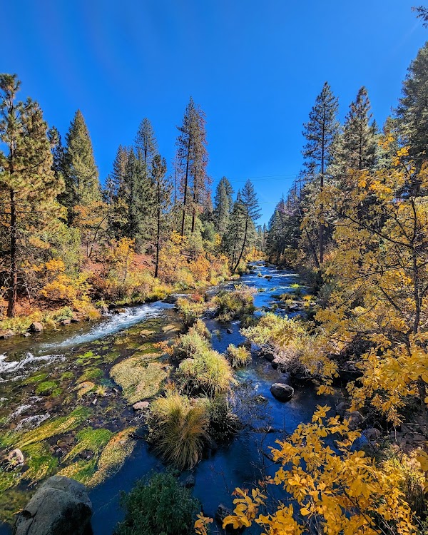 McArthur-Burney Falls Memorial State Park 5