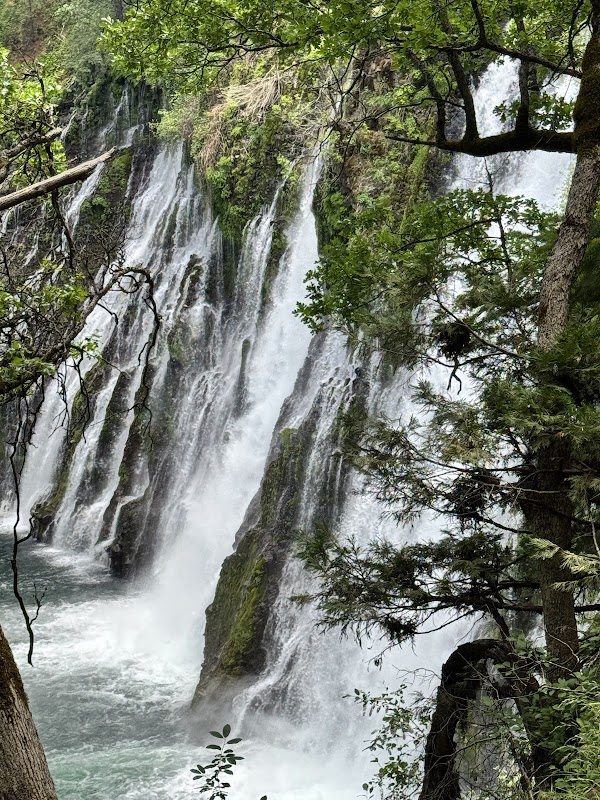 McArthur-Burney Falls Memorial State Park 3