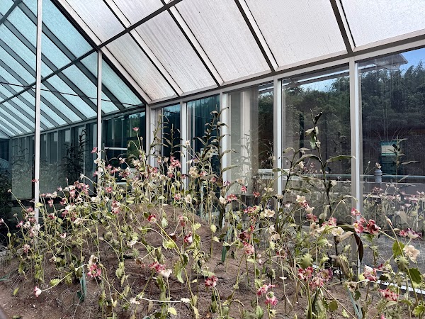Golden Triangle Park Hall of Opium 3