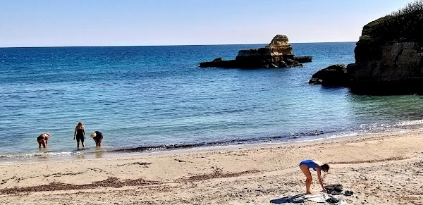 Sant'Andrea 3