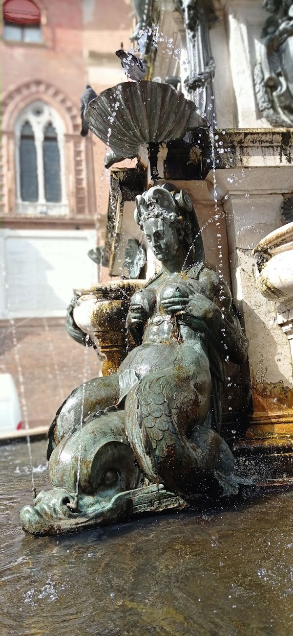 Bologna 5