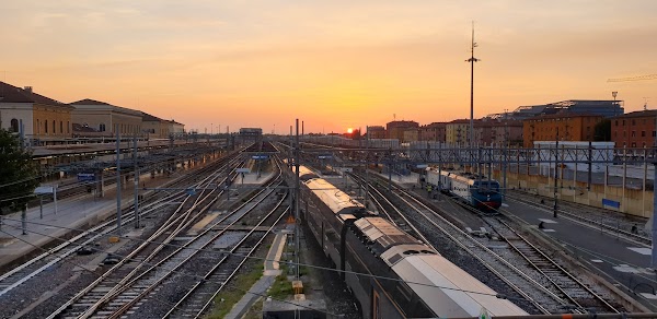 Bologna 4