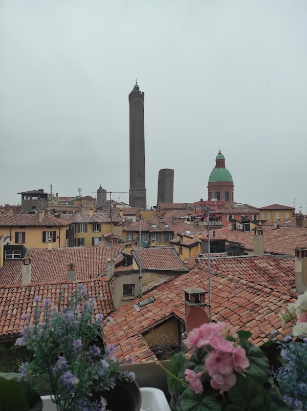 Bologna 2