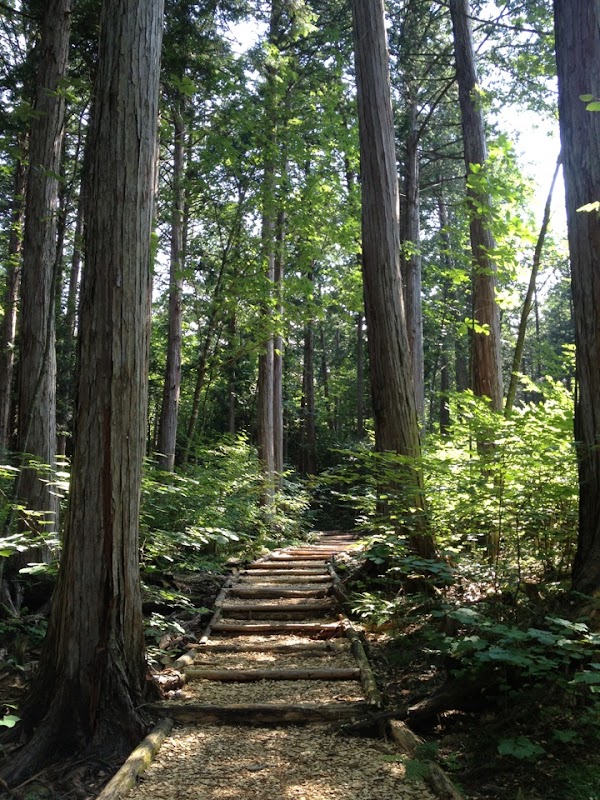 Akasawa Natural Recreational Forest 4