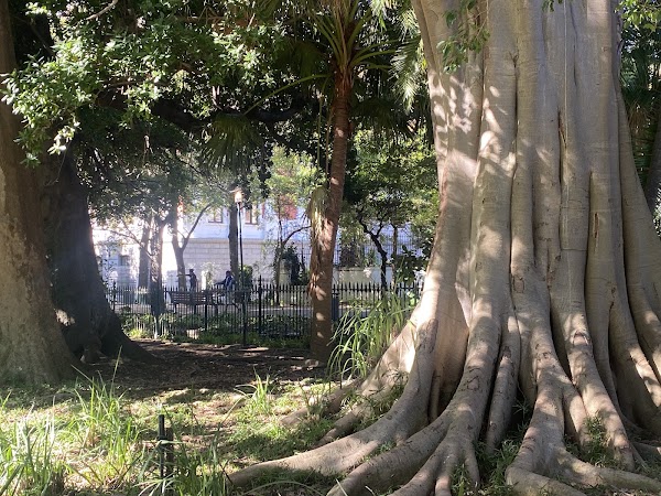 The Company’s Garden