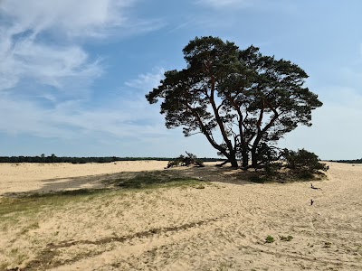 Het Nationale Park De Hoge Veluwe