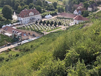 Schloss Wackerbarth