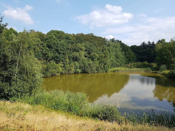 Natuurpoort Landgoed Wolfslaar 1