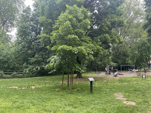 Giardini Indro Montanelli 4