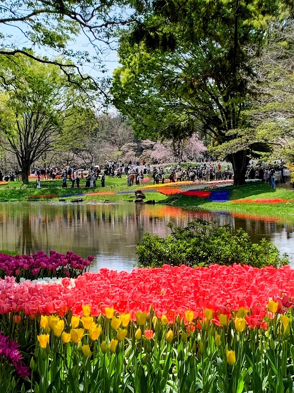 Showa Kinen Park 4
