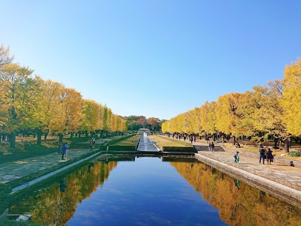 Showa Kinen Park 3