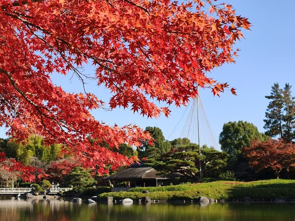 Showa Kinen Park 2