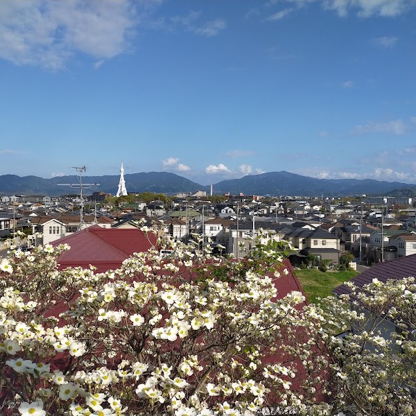 Tondabayashi 4