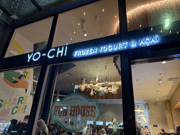 Yo-Chi 3