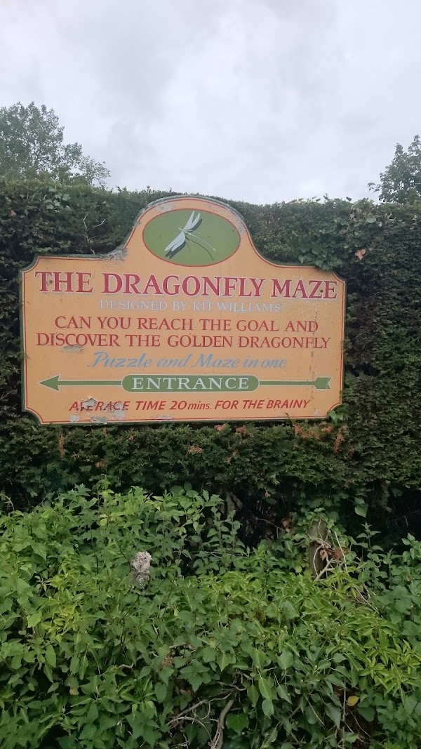 The Dragonfly Maze