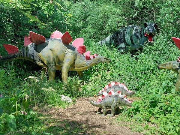 Birdland Park & Gardens