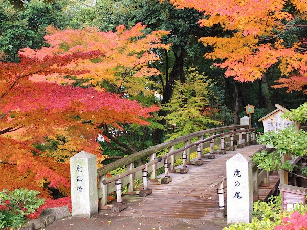 Tokugawaen Garden 5