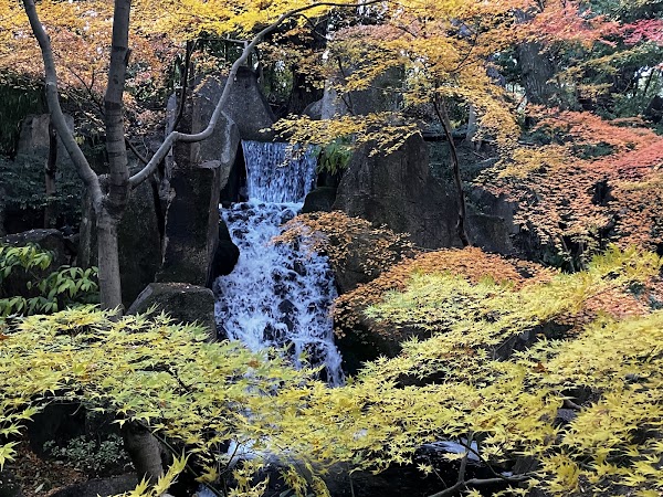 Tokugawaen Garden 3