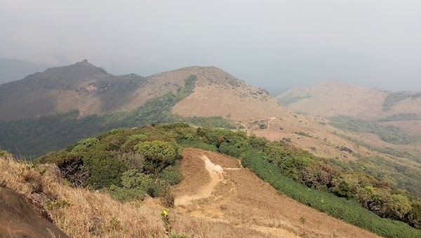 Tadiyandamol Peak