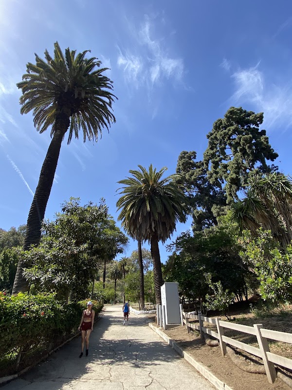 Runyon Canyon Road 5