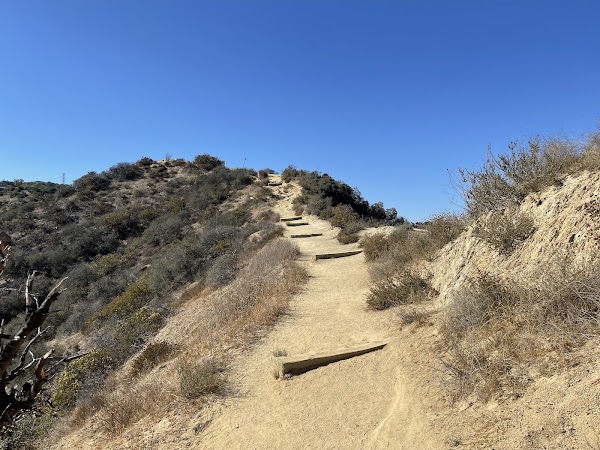 Runyon Canyon Road 4