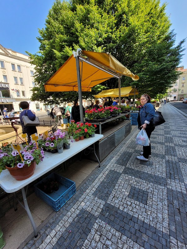 Tylovo náměstí Market 3
