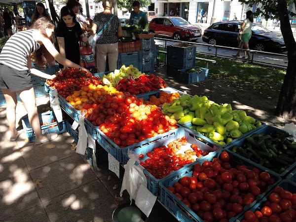 Tylovo náměstí Market 2