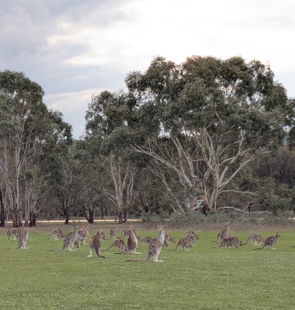 Woodlands Historic Park (Parks Victoria)