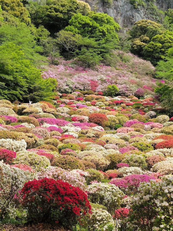 Mifuneyama Rakuen