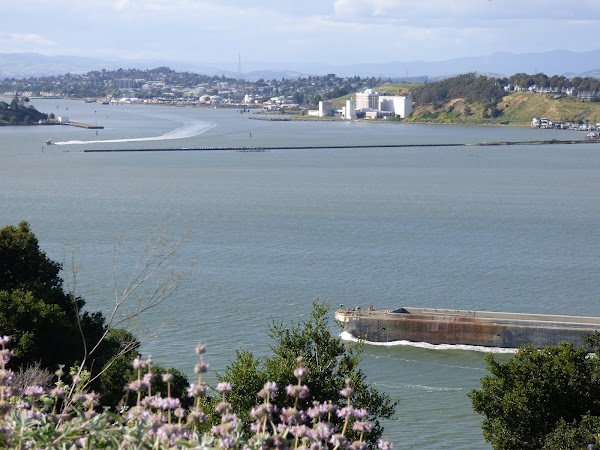 Vallejo