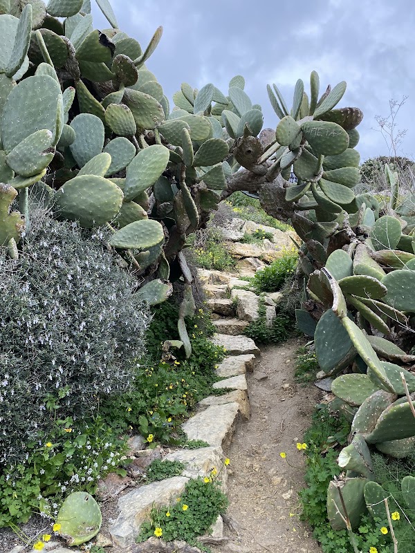 Gozo Coastal Walk 3