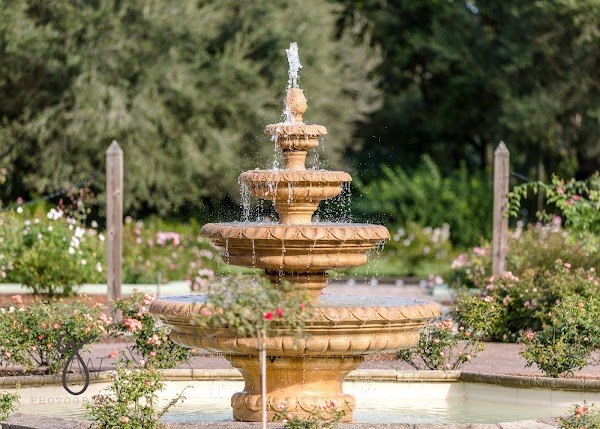 Harry P Leu Gardens 1