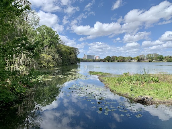 Harry P Leu Gardens 3