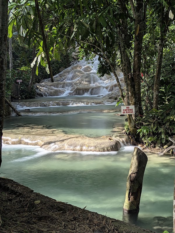 The World Famous Dunn's River Falls & Park 5