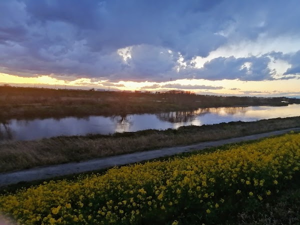 Edo River