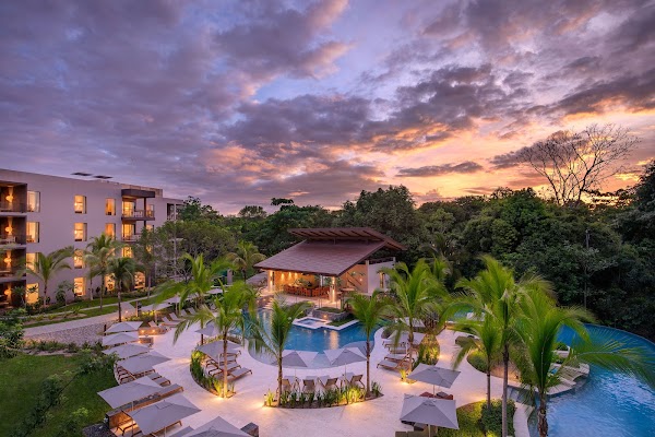 Botanika Osa Peninsula, Curio Collection by Hilton 1