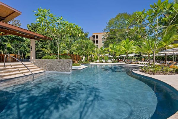 Botanika Osa Peninsula, Curio Collection by Hilton 4