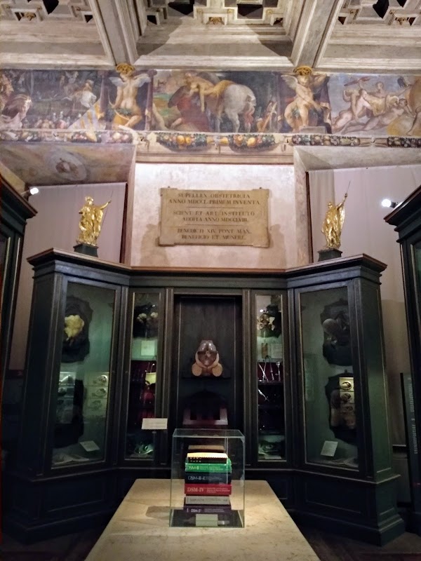 Museo di Palazzo Poggi 5