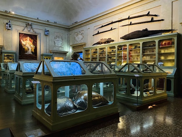 Museo di Palazzo Poggi 4