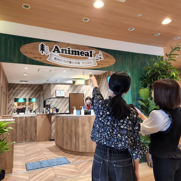 Animeal