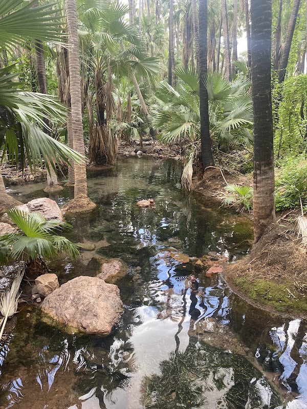 Zebedee Springs