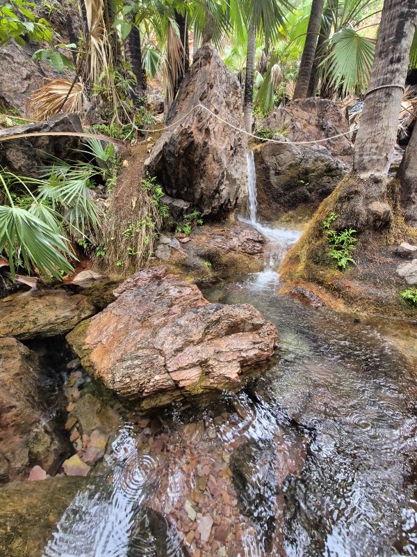 Zebedee Springs 5
