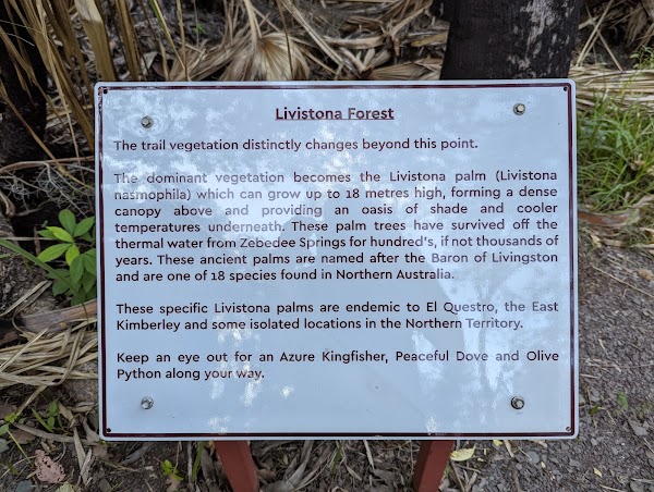 Zebedee Springs 4