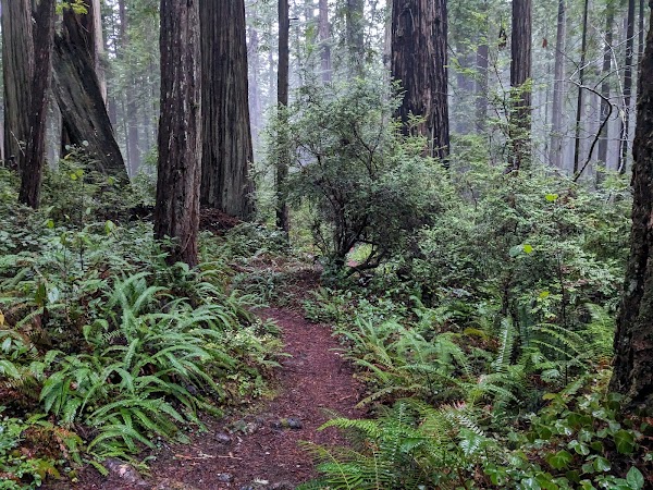 Miner's Ridge Trail