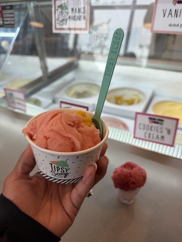 Tipsy Scoop Nashville 3