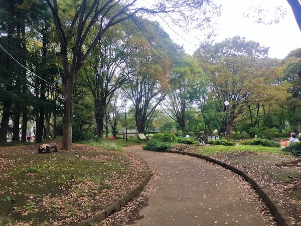 Japan 13