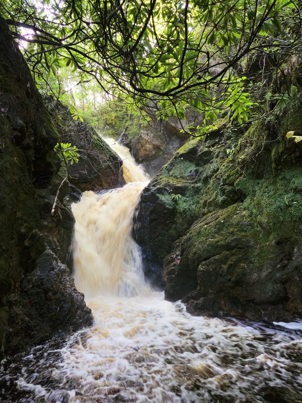 Golspie Burn Waterfall & Gorge