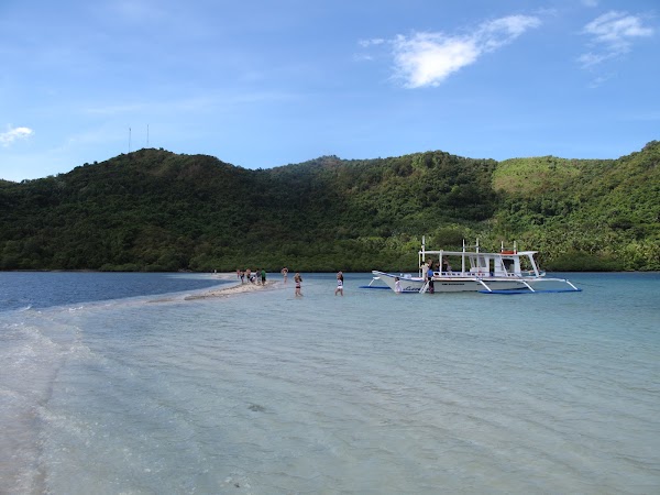 Snake Island 5