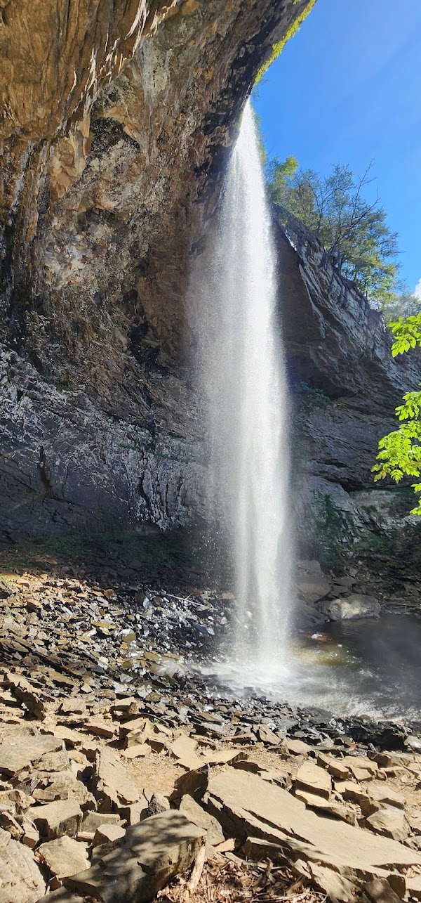 Ozone Falls State Natural Area 5