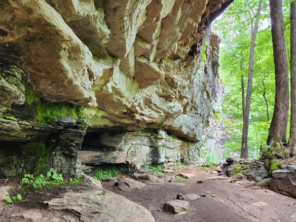 Ozone Falls State Natural Area 2